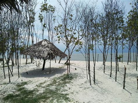 Pantai Mangrove Medan Sejarah, Harga Tiket Masuk, Lokasi & Fasilitas