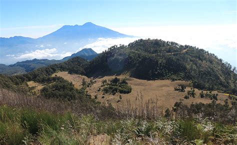 Wisata Gunung Butak, Destinasi Wisata Yang Menarik Di Jawa Timur