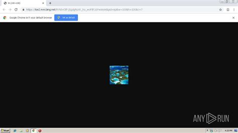 how to replace an alternator on a 2006 ford focus