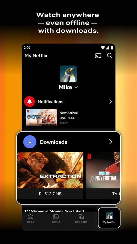 https netflixhelp s3 amazonaws com netflix 4.16 200147 release apk