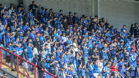 huachipato fc libertadores