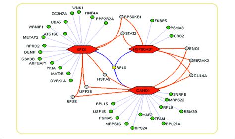 Hub Proteins Definition