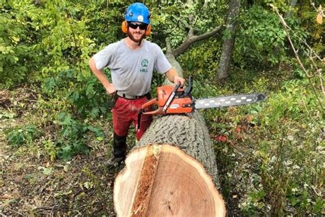 hudson valley tree service