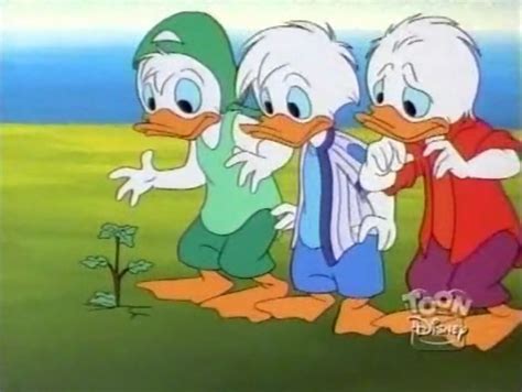 huey dewey and louie 2037