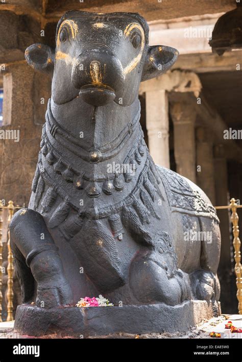 Huge Nandi Statue