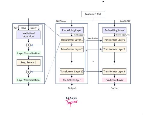 Huggingface Transformers Distilbert