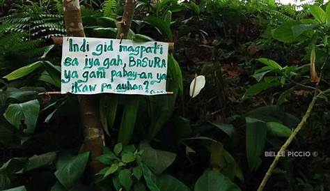 hugot lines about biodiversity - Brainly.ph