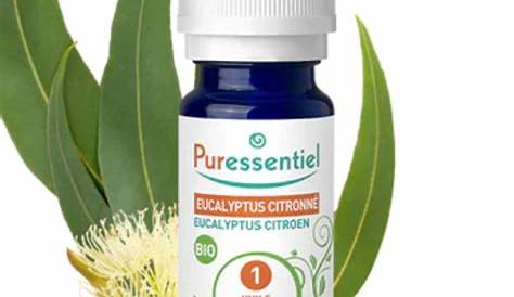 Huile Essentielle D Eucalyptus Citronne Proprietes De L Huile