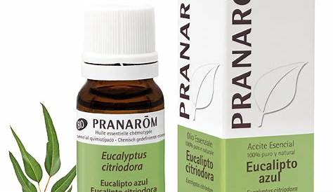 Pranarom Huile Essentielle Eucalyptus Citronne 10 Ml Aromatherapie