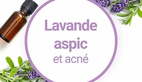 Huile Essentielle De Lavande Aspic Aroma Zone Produits Specifiques