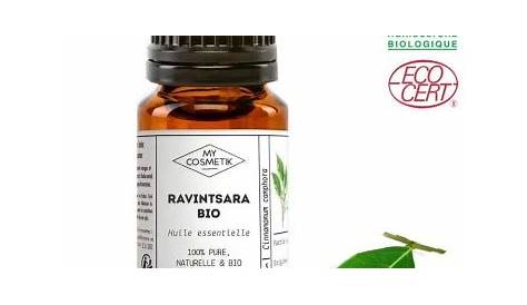 Huile Essentielle Ravintsara Bio Utilisation logique Cinnamomum Camphora