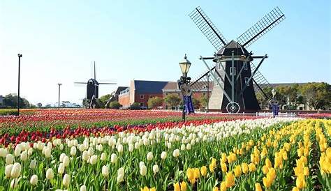 Huis Ten Bosch Tulip Festival 2019 World Love Flowers