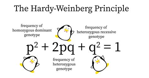 Hukum Hardy Weinberg: Menjelaskan Bagaimana Frekuensi Genetik Berubah