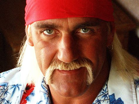 Hulk Hogan Moustache