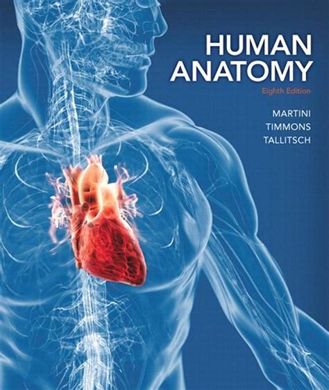 human anatomy textbook pdf