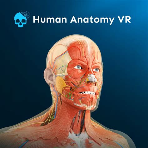 Human Anatomy Vr Subscription