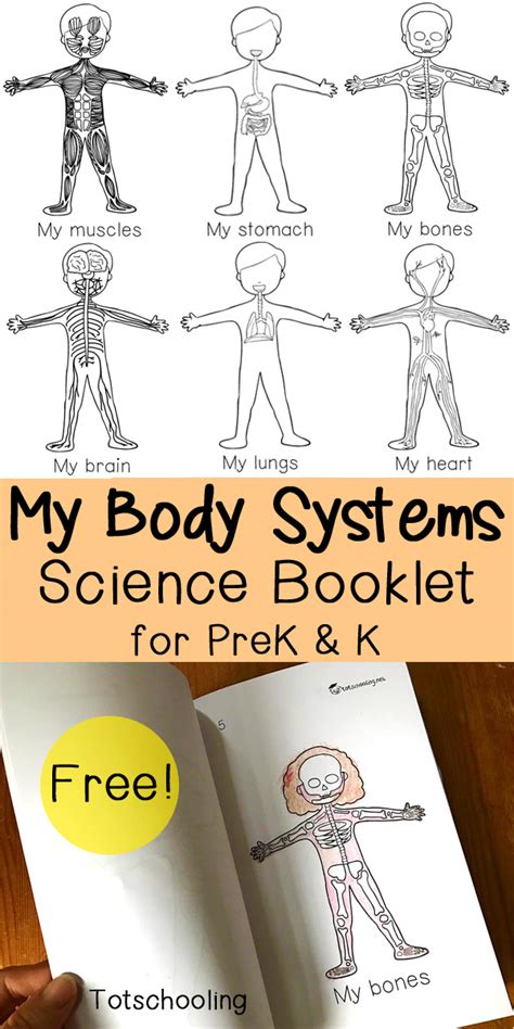 Human Body Book Project