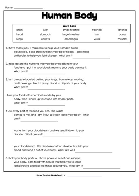 Human Body Worksheet Answer Key