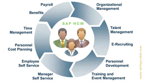 human capital management hcm solutions