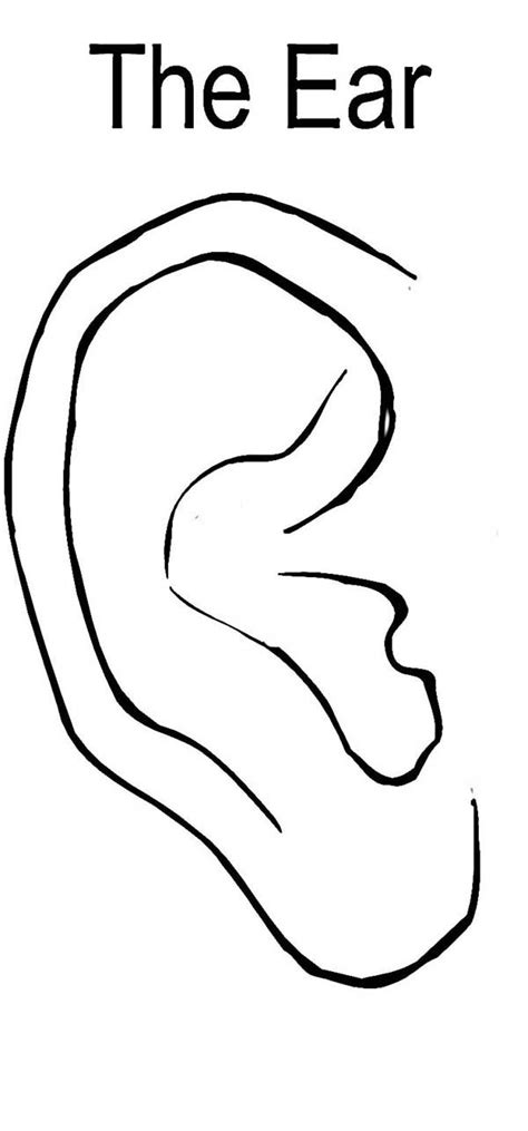 Human Ears Coloring Pages