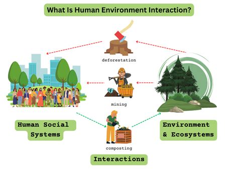 Humans and the Environment Lesson Plans and Lesson Ideas BrainPOP Educators