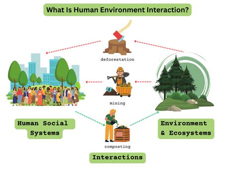 human environment interaction examples in history