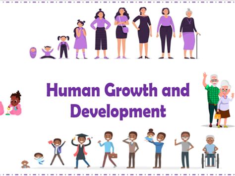 Human Growth And Development Curriculum Elementary