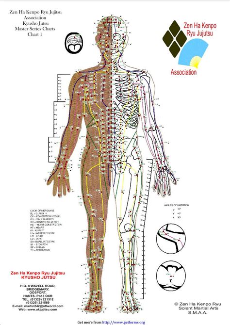 Human Pressure Point Chart