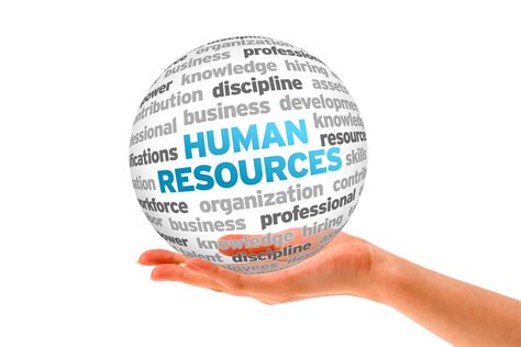 human resources human resource