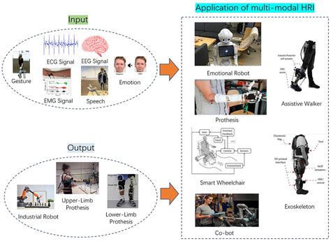human robot interaction history