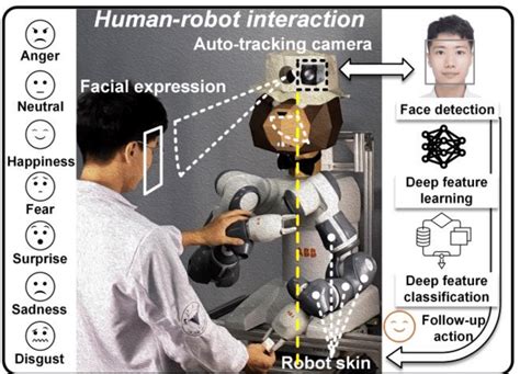 human robot interaction hri theory