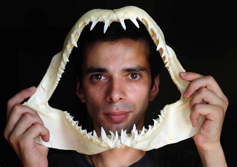 Rare Human Shark Teeth: Discover Their Fascinating Story
