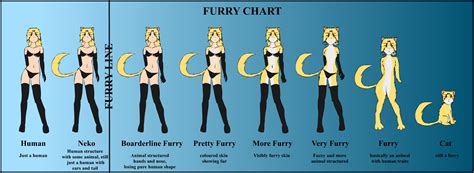 human to furry chart