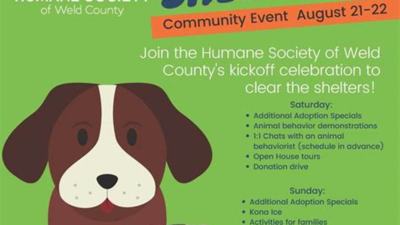 Adopt a Loving Companion Today: Humane Society of Weld County