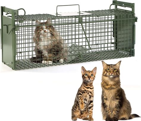 Humane Cat Traps For Sale