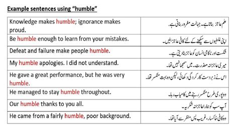 humble request meaning in urdu with example
