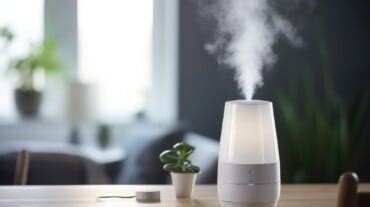 Humidifier For Bedroom In Winter