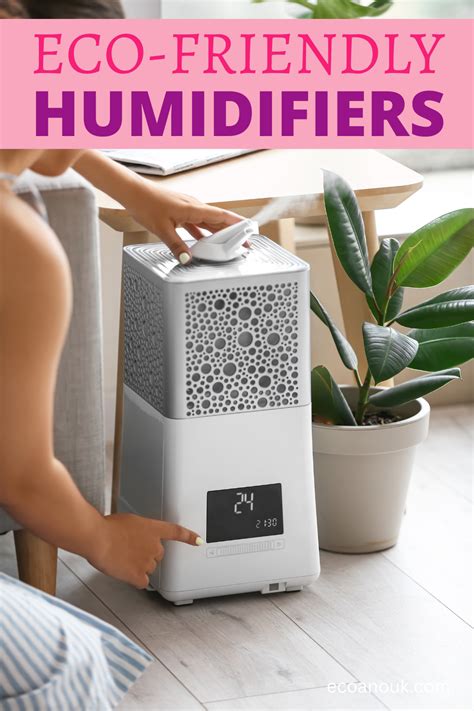 Humidifier Good For Winter