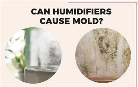 Humidifiers For Mold