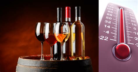 Humidity Level For Wine