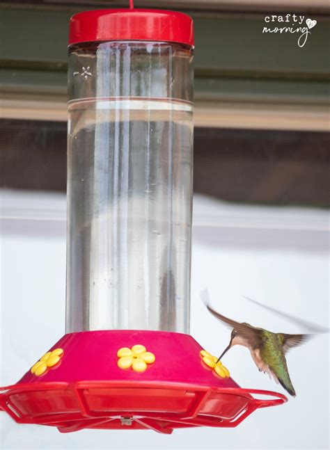 Hummingbird Nectar Make