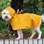 hunde regenmantel für kleine hunde