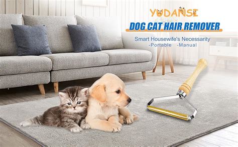 【ᐅᐅ】HUNDEHAARE TEPPICH Die aktuell besten Modelle im Test!