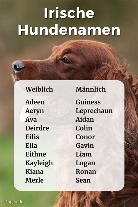 Weibliche Hundenamen 73 coole, ausgefallene und beliebte Namen für