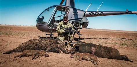 hunt hogs from helicopter