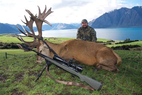 hunting and fishing nz online