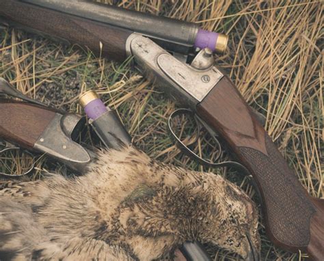 Hunting Deer With A 16 Gauge Shotgun