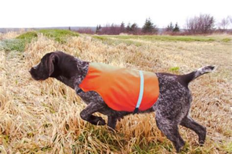 Hunting Dog Jacket