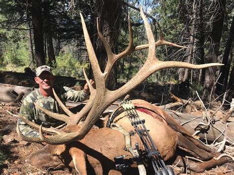 hunting elk in the gila wilderness in nm