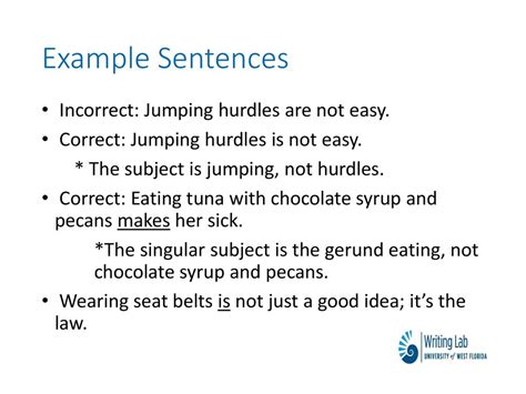 Hurdles Examples In Sentences